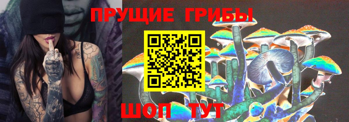 Галлюциногенные грибы GOLDEN TEACHER  Вход с VPN  Гай 