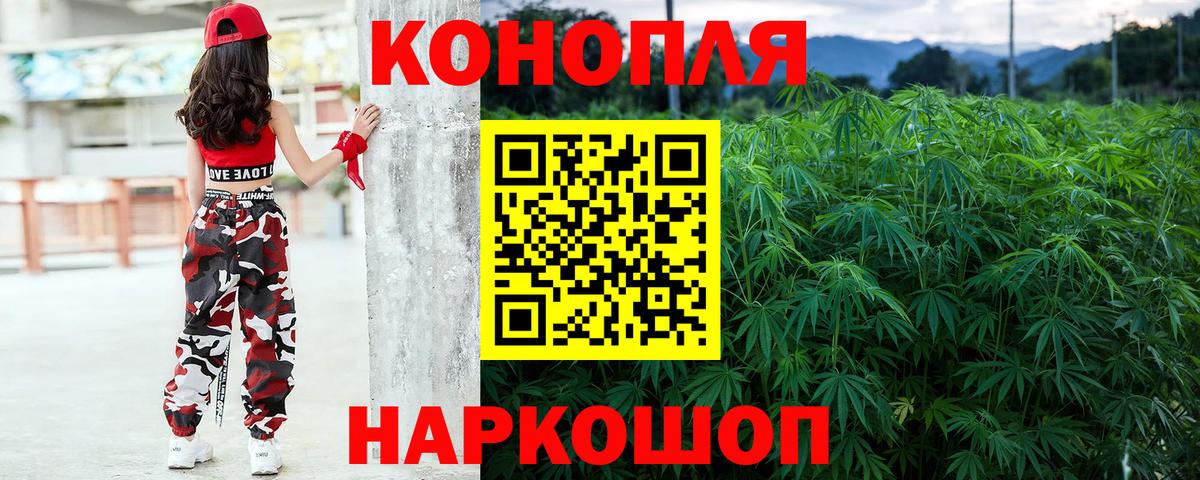 Канабис план Гай